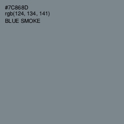 #7C868D - Blue Smoke Color Image
